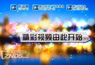 浙江卫视的爆料视频在哪看,揭秘视频观看途径